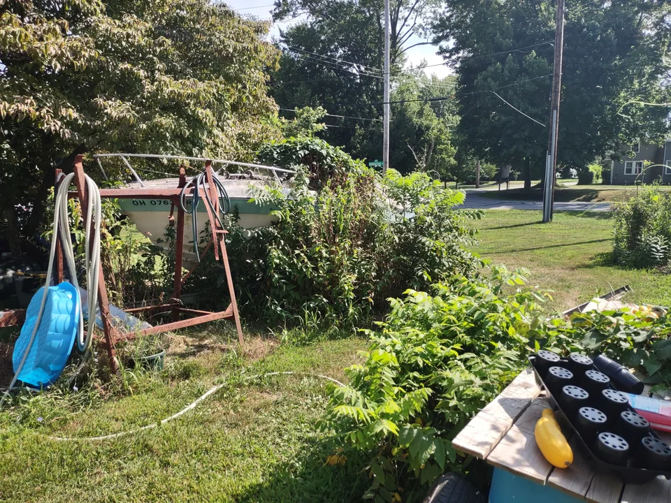 Boat storage area obscured by thick garden growth