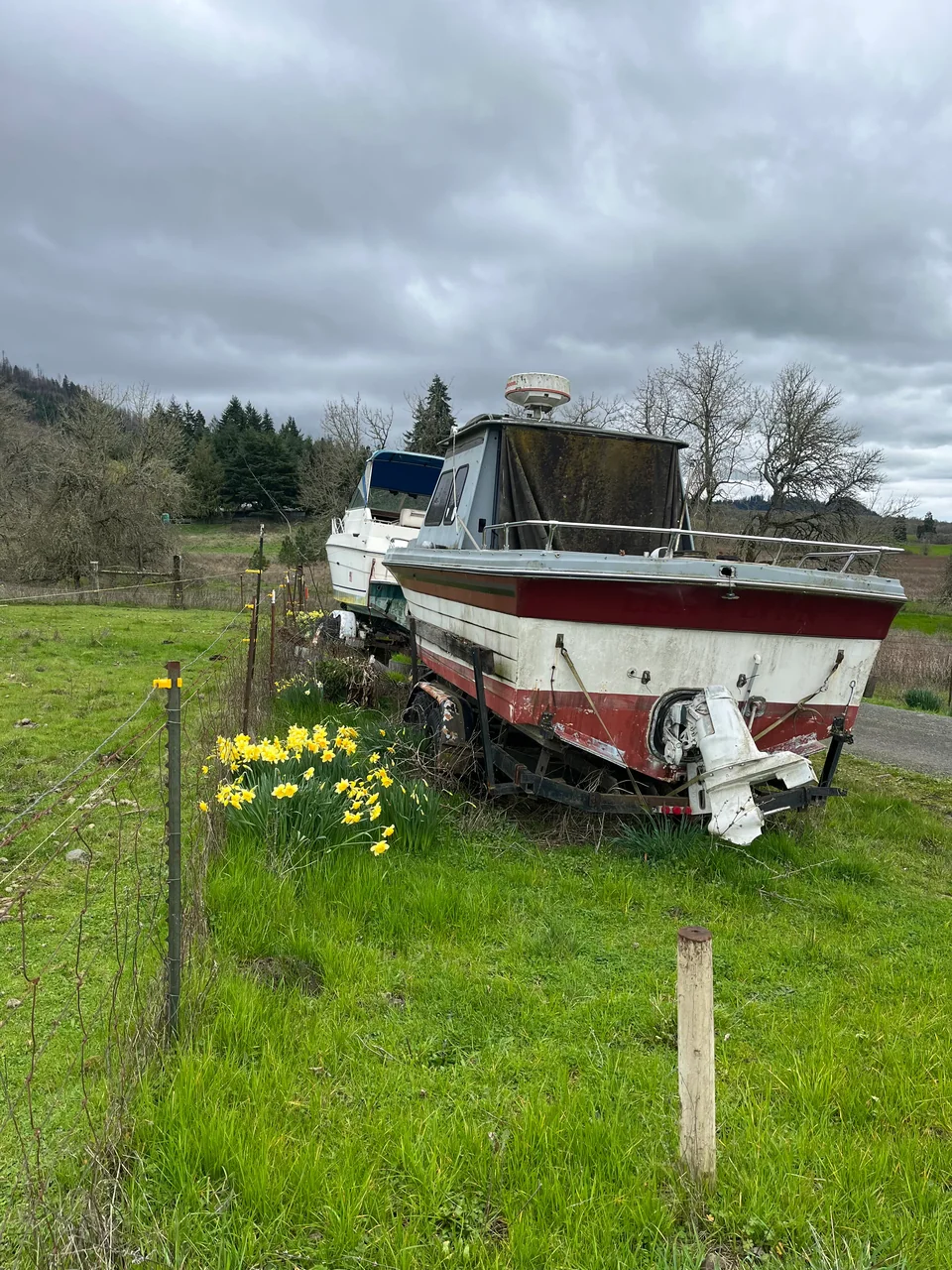 Red-striped cabin boat standing in overgrown grass