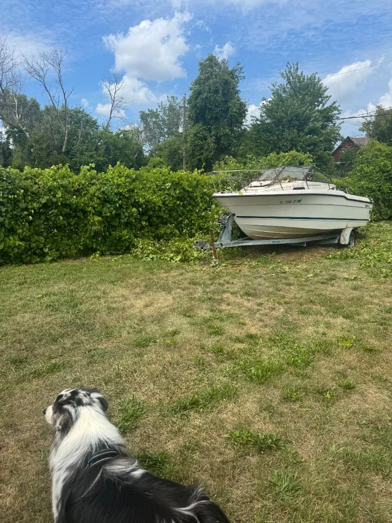Small white boat at the far edge of a grassy property